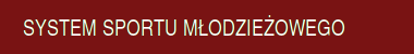 system sportu modziezowego